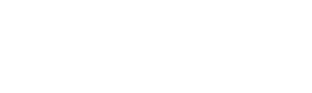 Evolurise